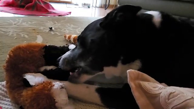 Destroying a Gift
